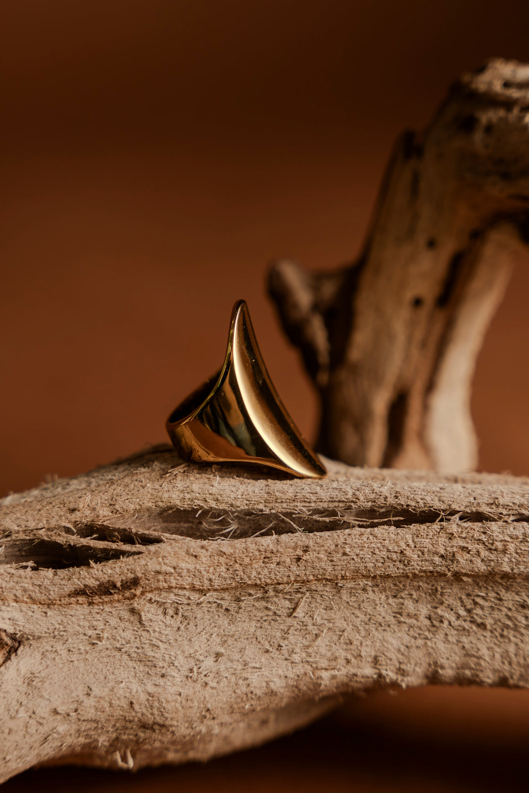 Ancient Gold S.9 Ring
